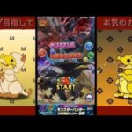 【過去最長】モンスターハンターコラボガチャ コンプ目指して引いたら確率破壊しちゃった！？