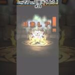 今日編集終わるかな原神くん…… #パズドラガチャ  #パズドラ