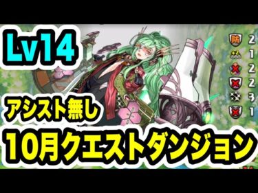 【アシスト無し】10月クエストダンジョン Lv14 クリア編成・立ち回り紹介！！【パズル&ドラゴンズ】