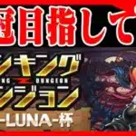 🔴【260目指して】ランダン王冠目指して！#ヘラLUNA杯 #パズドラ　#雑談　#ラジオ 　#縦型配信