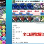 【呪術上級】Lv6~Lv10全対応の簡易ネロミェールPT！魔法石を確定ガチャを即回収するぞおおおおお【パズドラ】