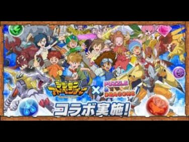 【パズドラ】俺得すぎるデジモンコラボガチャをコンプするまで引く　マルチいつでも募集