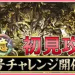 【パズドラ】新称号チャレンジ開催！十億チャレンジに初見で挑む！【雑談】