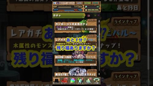 あと1分⁉️アンケートスーパーゴッドフェスガチャ【パズドラ 】#吉日ガチャ #残り福ガチャ #パズドラガチャ