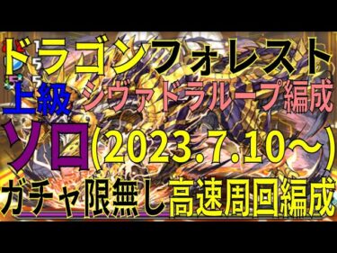 ドラゴンフォレスト(2023.7.10～)上級 ガチャ限無しソロ高速周回編成　シヴァドラループ編成(パズドラ/パズル&ドラゴンズ/PUZZLE&DRAGONS)