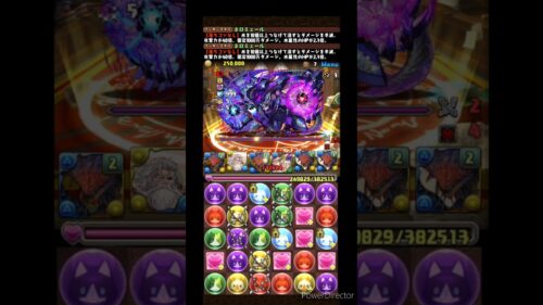 【パズドラ】偽契の湿融龍 – 龍を滅ぼす力 – 3分- 冥波(ネロミエール) #周回編成