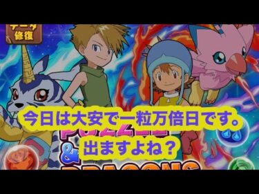 これが大◯◯というヤツか⁉️【デジモンアドベンチャーコラボ】【パズドラ 】#吉日ガチャ