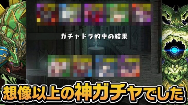 【2.5％】新フェス限のシルヴァ狙いでスーパードラゴンフェス引いたら神引きしました…【パズドラ】