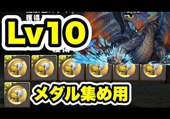 【メダル集め用】全ワンパン‼️ GA文庫コラボ 上級編 Lv10 ネロミェール 周回編成・立ち回り紹介！！【#GA文庫コラボ】【パズル&ドラゴンズ/#パズドラ】