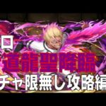 士道龍聖降臨　ガチャ限無しソロ攻略編成(パズドラ/パズル&ドラゴンズ/PUZZLE&DRAGONS)