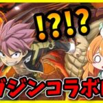 【無課金パズドラ】マガジンとSGFで悩んだ結果、こうなりました。【ガチャ】