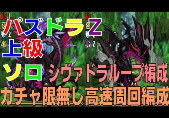 パズドラZ上級 ガチャ限無しソロ高速周回編成　シヴァドラループ編成(パズドラ/パズル&ドラゴンズ/PUZZLE&DRAGONS)