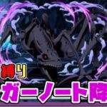 【パズドラガチャ縛り】４秒固定だけど超強い！癖つよリーダージャガーノートを手に入れよう！【ゆっくり実況】part.117