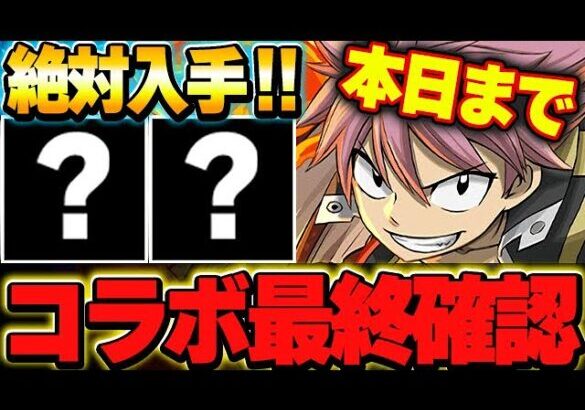 【🚨本日まで🚨】全員入手可能なあのキャラは絶対入手！！マガジンコラボの最終確認！！【パズドラ実況】