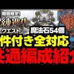 【条件付き全対応】魔法石54個！ネロミェール全対応共通編成紹介！代用＆立ち回り解説！【パズドラ】