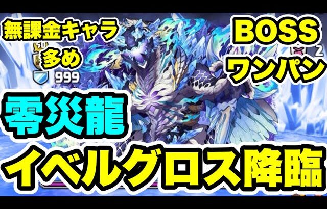 【BOSSワンパン】 零災龍イベルグロス降臨 周回編成・立ち回り紹介！！【パズル&ドラゴンズ/#パズドラ】【#ガンホーコラボ】