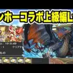【ピィ集め】ネロミェール採用でさらに速くなりました 【パズル&ドラゴンズ/#パズル&ドラゴンズ】 #ガンホーコラボ上級編Lv9