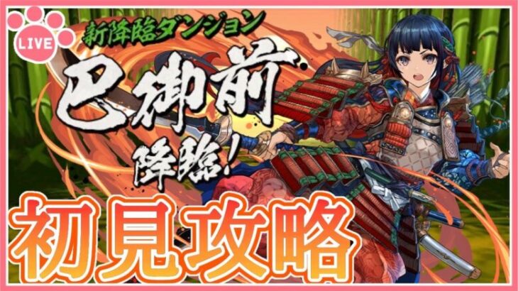 【パズドラ】新降臨ダンジョン！巴御前降臨を初見攻略！【雑談】