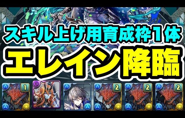 【スキル上げ用】全ワンパン‼️エレイン降臨 周回編成・立ち回り紹介！！【パズル&ドラゴンズ/#パズドラ】