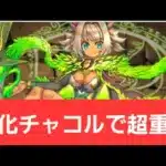 【パズドラ】強化チャコルが強すぎてヤバい！！【ぶっ壊れ】【最強】【人権】【環境1位】【新百式】【新千手】【新万寿】【新凶兆】