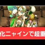 【パズドラ】強化ニャインが強すぎてヤバい！！【ぶっ壊れ】【最強】【人権】【環境1位】【新百式】【新千手】【新万寿】【新凶兆】