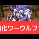 【パズドラ】強化ワーウルフィが強すぎてヤバい！！【ぶっ壊れ】【最強】【人権】【環境1位】【新百式】【新千手】【新万寿】【新凶兆】