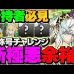 【環境上位】フリッグ×アイズで新極悪を17分攻略！代用&立ち回り解説！木属性最強テンプレ確定！【パズドラ】
