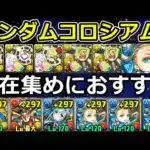 【ガンダムコロシアム2】バレンタインノアでずらし周回！潜在集めにおすすめ！【パズドラ】