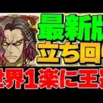 【誰でも出来る】この動画を見れば世界一楽に王冠取れます！21万点↑立ち回り！ランキングダンジョン 13周年前夜祭杯【パズドラ】