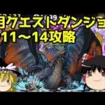 2月クエストダンジョンLv11～14をネロミェール一本で攻略！【パズドラ】