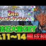 【魔法石大量GET】2月のクエストダンジョンLv11〜14ネロミェール編成！【パズドラ】