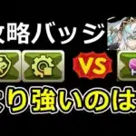 タイプバッジがHPバッジより強い理由を理論的に解説！知らないと損するぞ！【パズドラ】