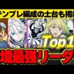 【テンプレ有】上位４体が特にぶっ飛んでる！！現環境の最強リーダーTop10！！【パズドラ実況】
