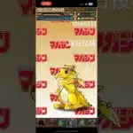 ガチャpart1166【2024/12/7】#毎日投稿 #パズドラ
