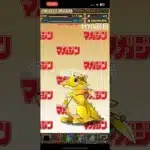 ガチャpart1170【2024/12/11】#パズドラ #毎日投稿