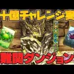 【最難関】裏十億チャレンジがまさかの実装！？部位破壊で最強武器2種類をゲットしよう！！【パズドラ】