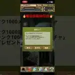 毎日投稿30日目 パズドラ