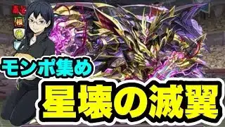 【3スキップ】1周1万モンポ‼️壊滅極限コロシアム 星壊の滅翼 周回編成・立ち回り紹介！！ 【パズル&ドラゴンズ/#パズドラ】【#ハイキューコラボ】