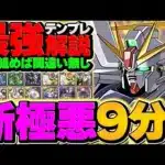 最速9分台で新極悪攻略！F91が環境最強リーダー確定！テンプレ編成紹介！！【パズドラ】