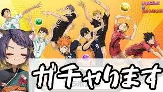 【ハイキュー!!FLY HIGH】ハイフラしながらパズドラ×ハイキューガチャを引くわよ！【 #宮弥ツカサ 】