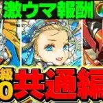 日向引きたい人必見！魔法石を今すぐ回収しよう！LV1-LV10共通編成！これ組めばOK【パズドラ】