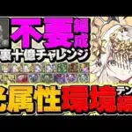 【最強】テミス×テミスで裏十億チャレンジ攻略！代用解説も！オーロラ姫不要でボコれます！これ組めばOK！【パズドラ】