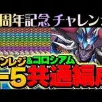 【これ見ればOK】13周年コロシアム&記念チャレンジをネロ共通編成で攻略！魔法石を大量ゲット！【パズドラ】