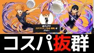 【ハイキューコロシアム】簡易ネロミェールPT！初クリアでコラボガチャを回収【パズドラ】