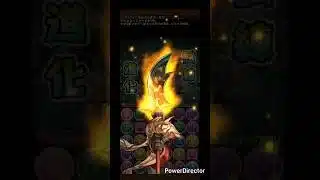 忠義の超越神・関羽 試練進化 #パズドラ #pad #試練進化 #龍族拼圖 #關羽 #三國 #中華神