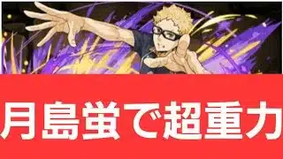 【パズドラ】月島蛍を使ってみた【新百式】【新千手】【新万寿】【新凶兆】【ハイキュー!!コラボ】