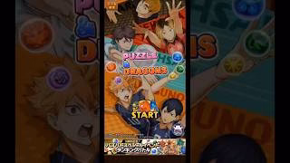 パズドラ/ハイキュー!!⑥