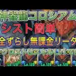 【無課金リーダー】神器龍コロシアムを完全ずらしネロミェール編成で簡単攻略！？無課金リーダーなので誰でも組みやすい編成になってます！【パズドラ】