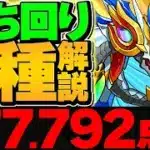 0.1%17.7万点↑立ち回り２パターン解説！どっちがオススメ？ゴールデンウィーク2025杯 ランキングダンジョン【パズドラ】