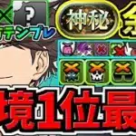 【環境1位】ぶっ壊れ及川×最強相方○○！最強テンプレ解説！神秘チャレンジ周回！編成・代用・立ち回り解説！ハイキューコラボ/及川徹【パズドラ】